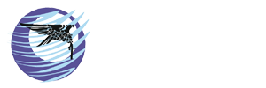 groupofir.com